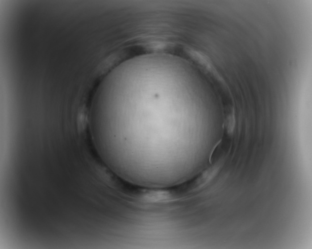 X0000088210476200705292056