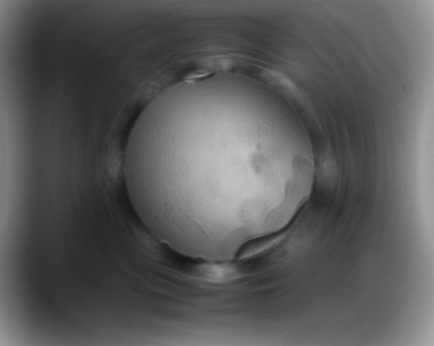 X0000088210477200705292056