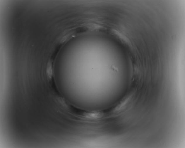 X0000088210479200705292056