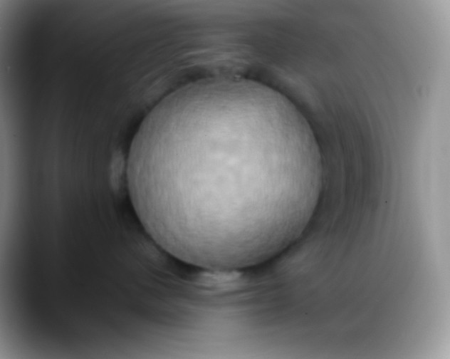 X0000088210480200705292056