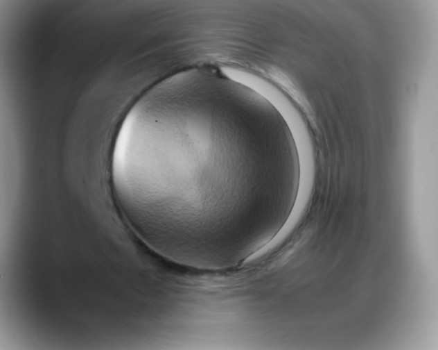 X0000088210481200705292055