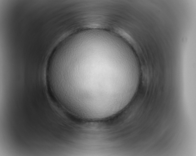 X0000088210482200705292055