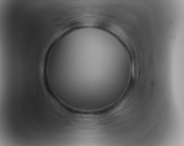 X0000088210483200705292055