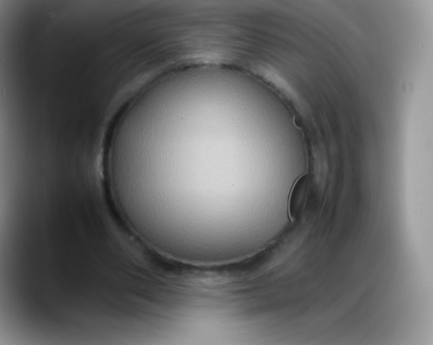 X0000088210486200705292055