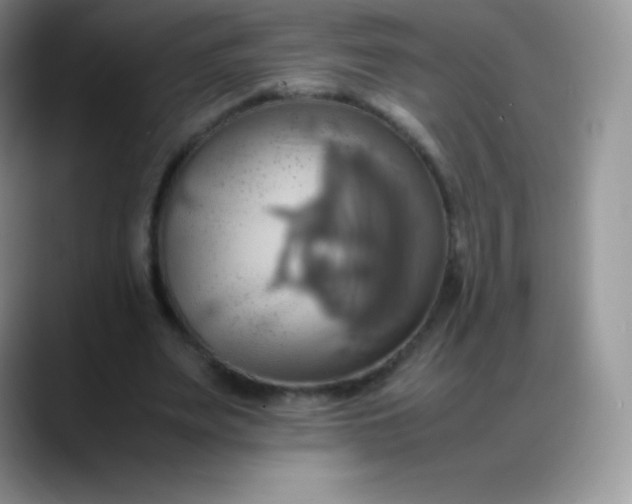 X0000088210487200705292055