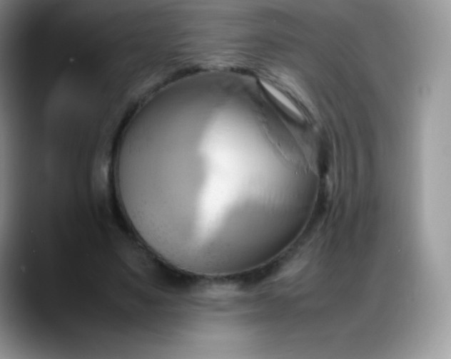 X0000088210491200705292055