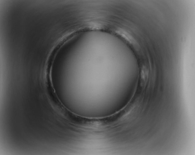 X0000088210492200705292055