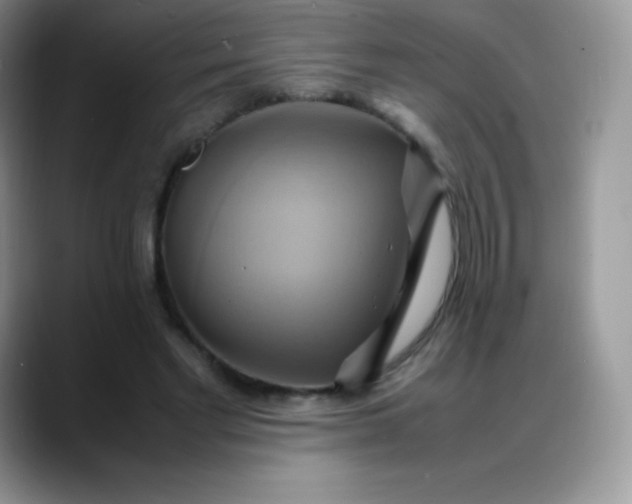 X0000088210493200705292055