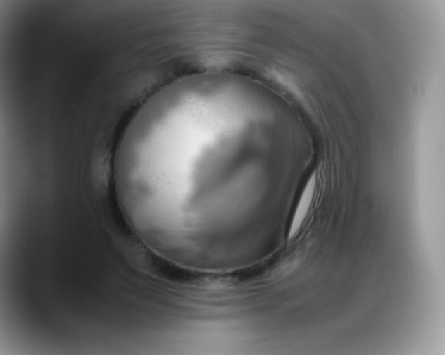 X0000088210495200705292055