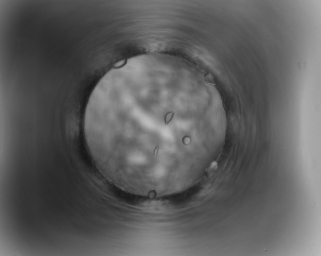 X0000088210499200705292055