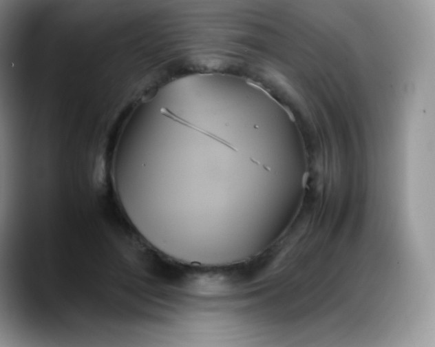 X0000088210500200705292055