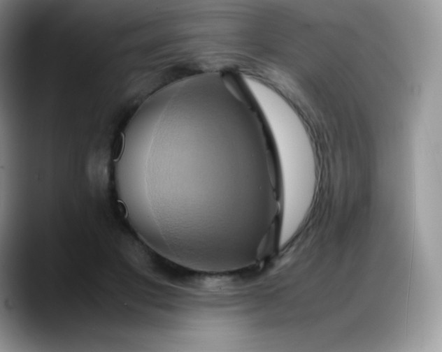 X0000088210501200705292055