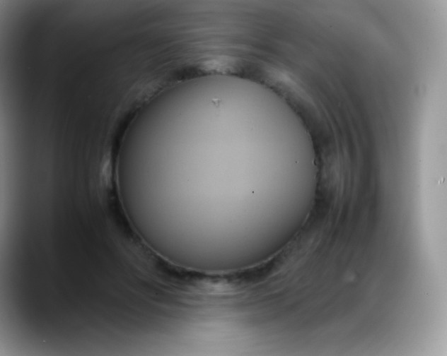 X0000088210502200705292055