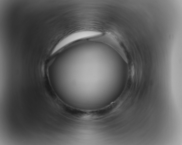 X0000088210504200705292055