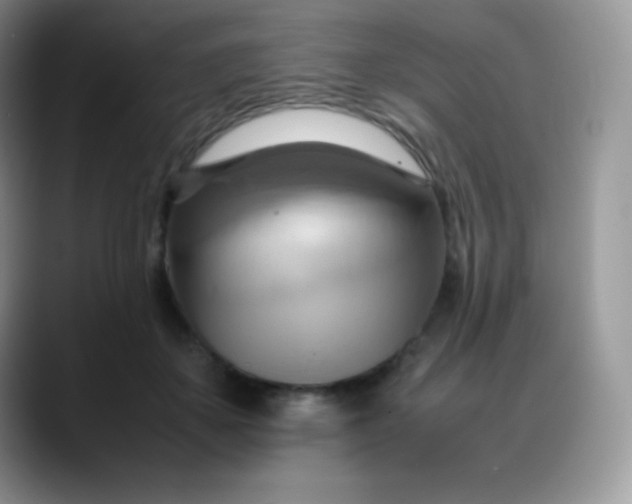 X0000088210507200705292055