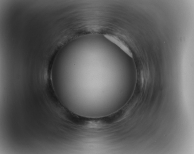 X0000088210508200705292055