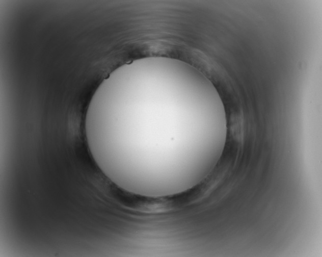 X0000088210514200705292055