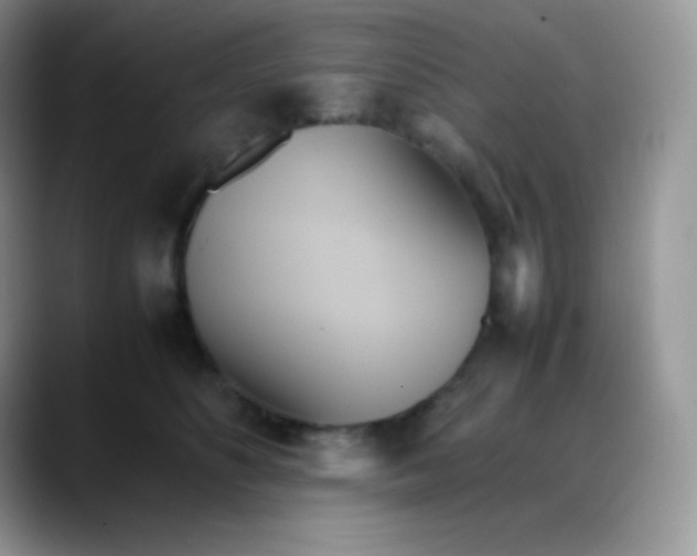 X0000088210516200705292055