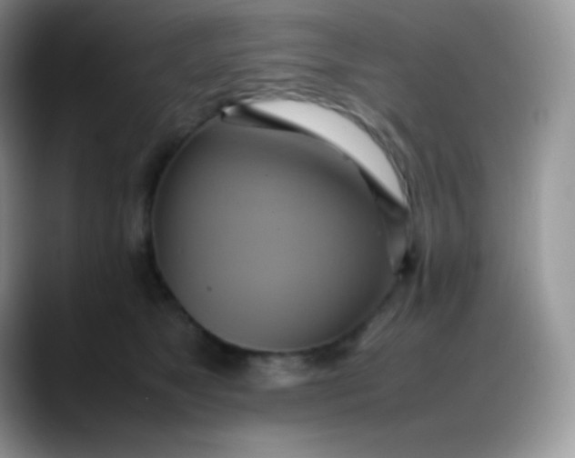 X0000088210517200705292055