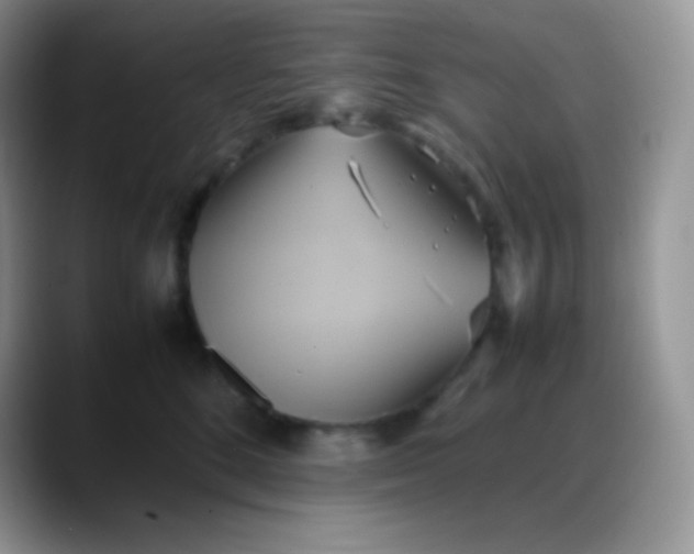 X0000088210520200705292055