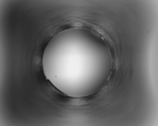 X0000088210521200705292055
