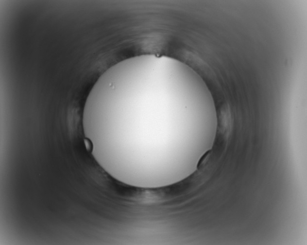 X0000088210522200705292055
