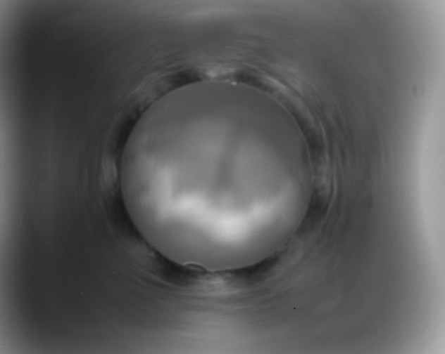 X0000088210523200705292055