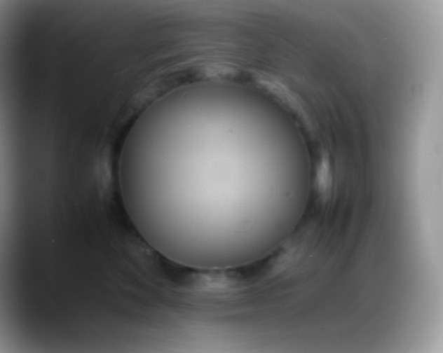 X0000088210524200705292055