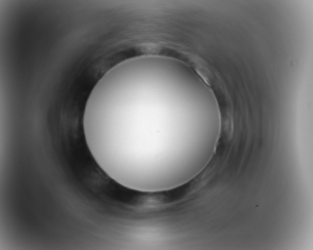 X0000088210525200705292055