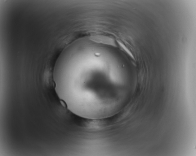 X0000088210527200705292055