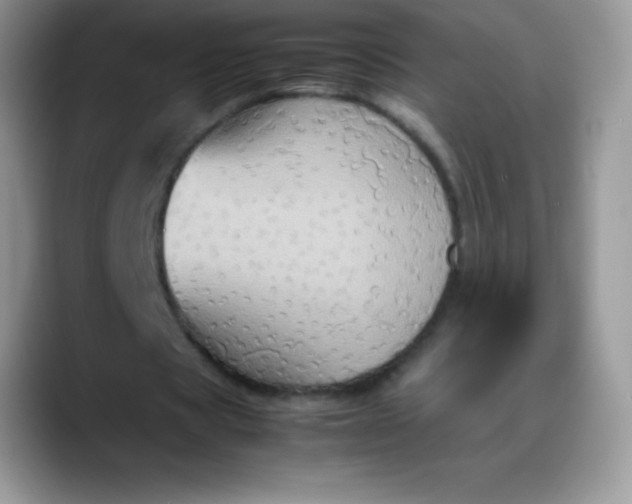 X0000088210529200705292054