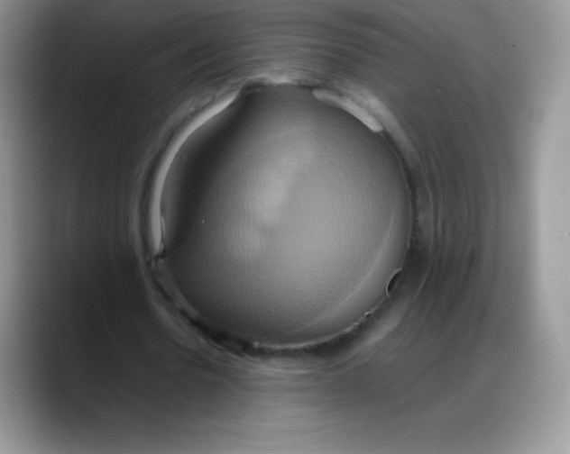 X0000088210530200705292054