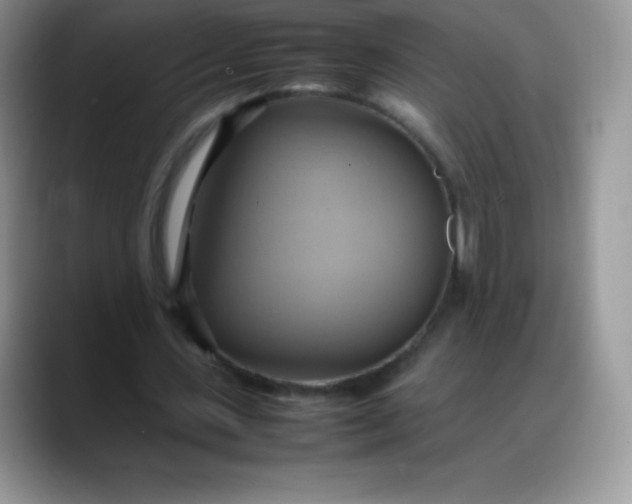 X0000088210531200705292054