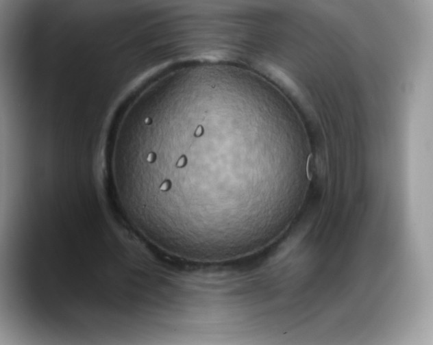 X0000088210532200705292054