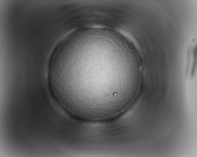 X0000088210533200705292054