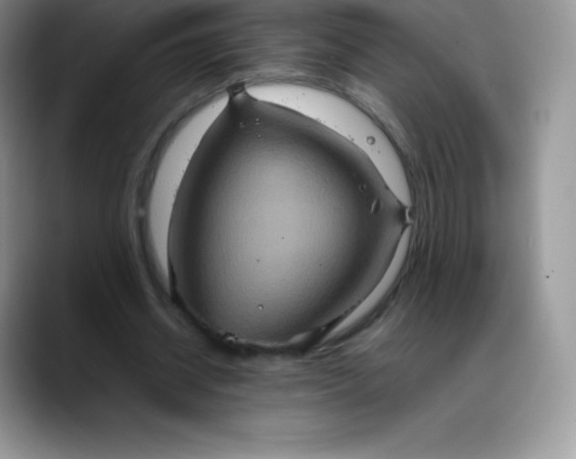 X0000088210534200705292054