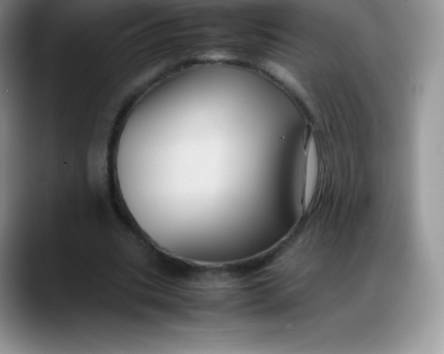 X0000088210535200705292054