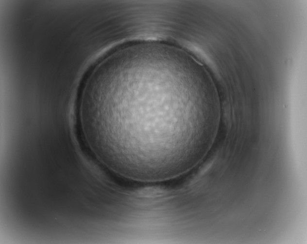 X0000088210536200705292054