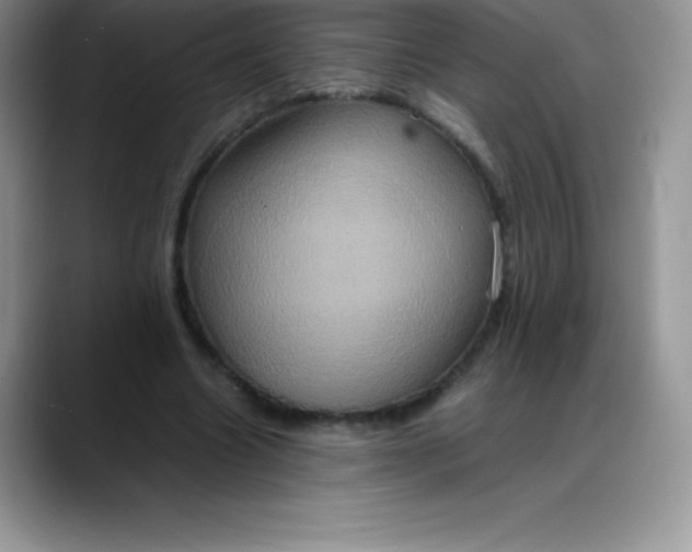 X0000088210538200705292054