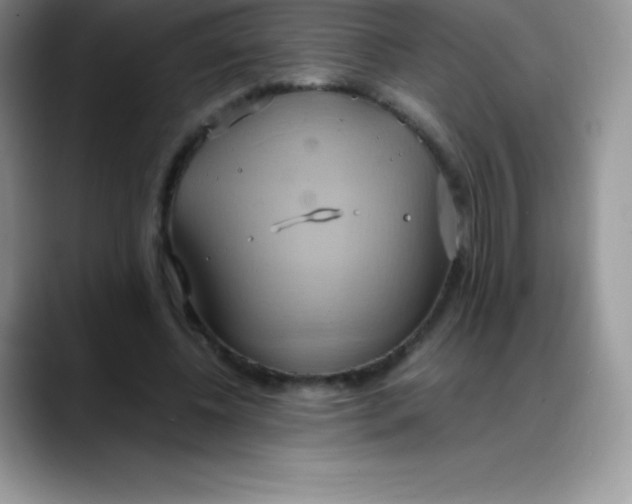 X0000088210540200705292054