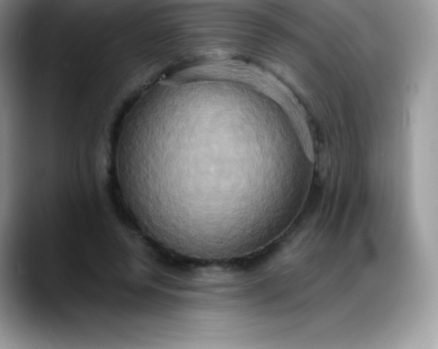 X0000088210544200705292054