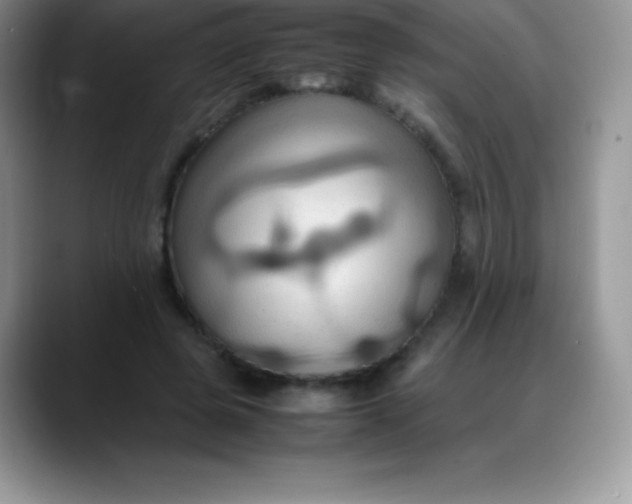 X0000088210545200705292054