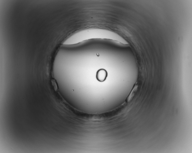 X0000088210546200705292054