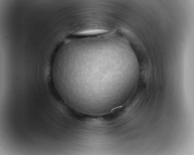 X0000088210548200705292054
