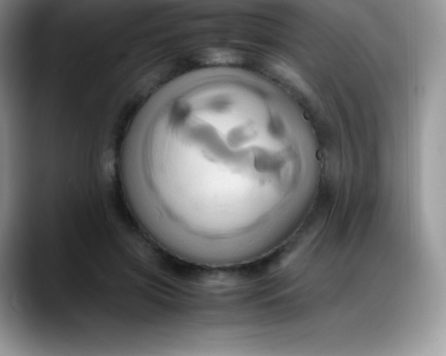 X0000088210549200705292054