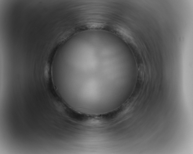 X0000088210550200705292054