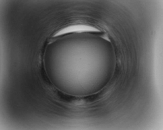 X0000088210551200705292054