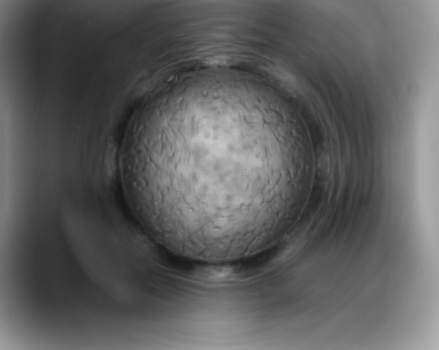 X0000088210554200705292055