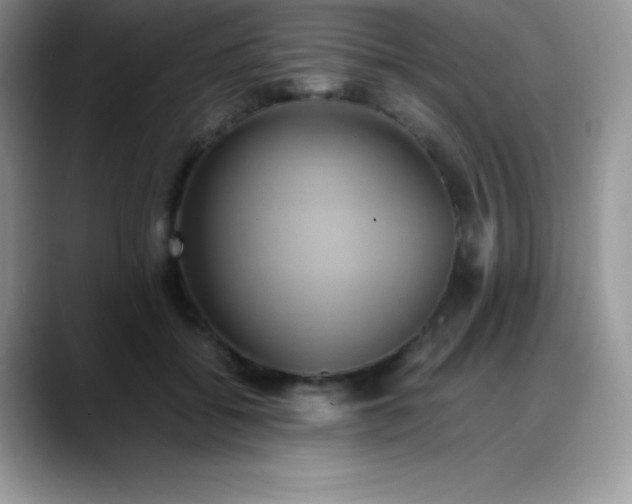 X0000088210556200705292055