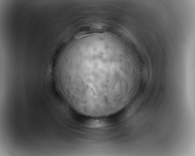 X0000088210557200705292055